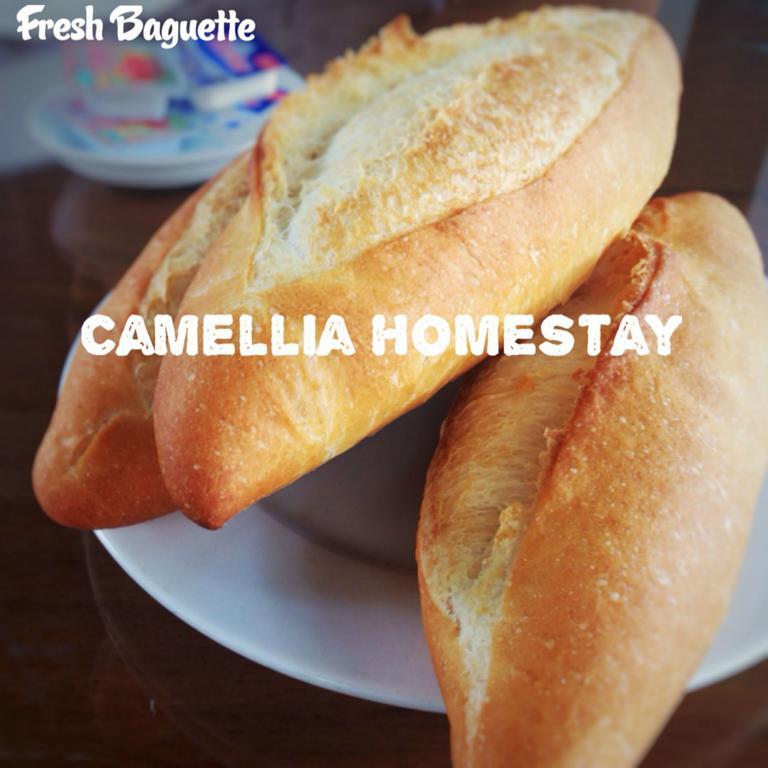 Camellia Homestay Hoi An Bagian luar foto