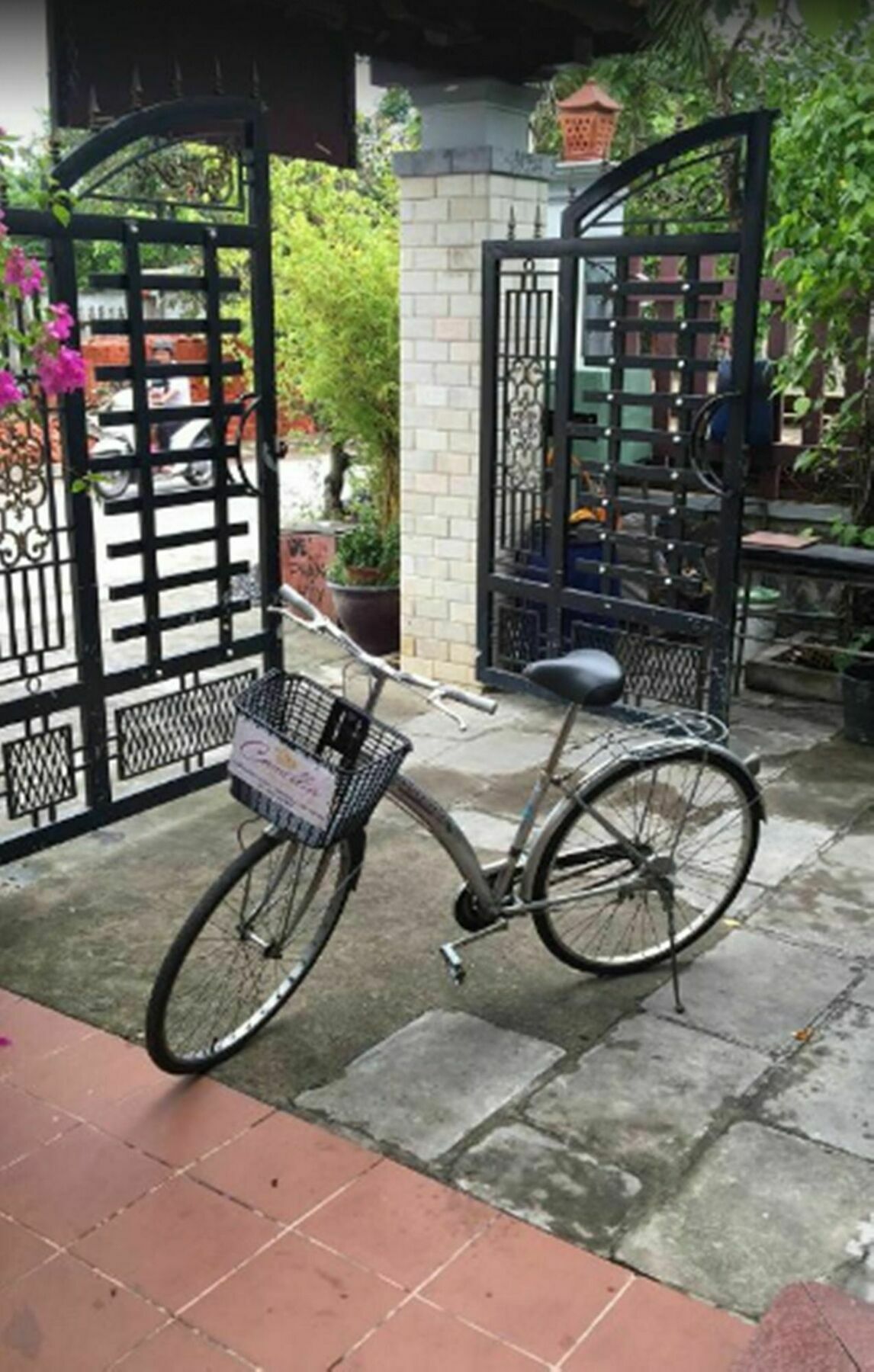 Camellia Homestay Hoi An Bagian luar foto